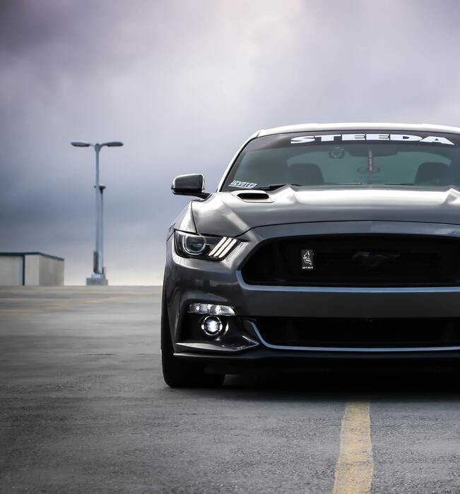 اشترك في
نشرتنا الإخبارية!